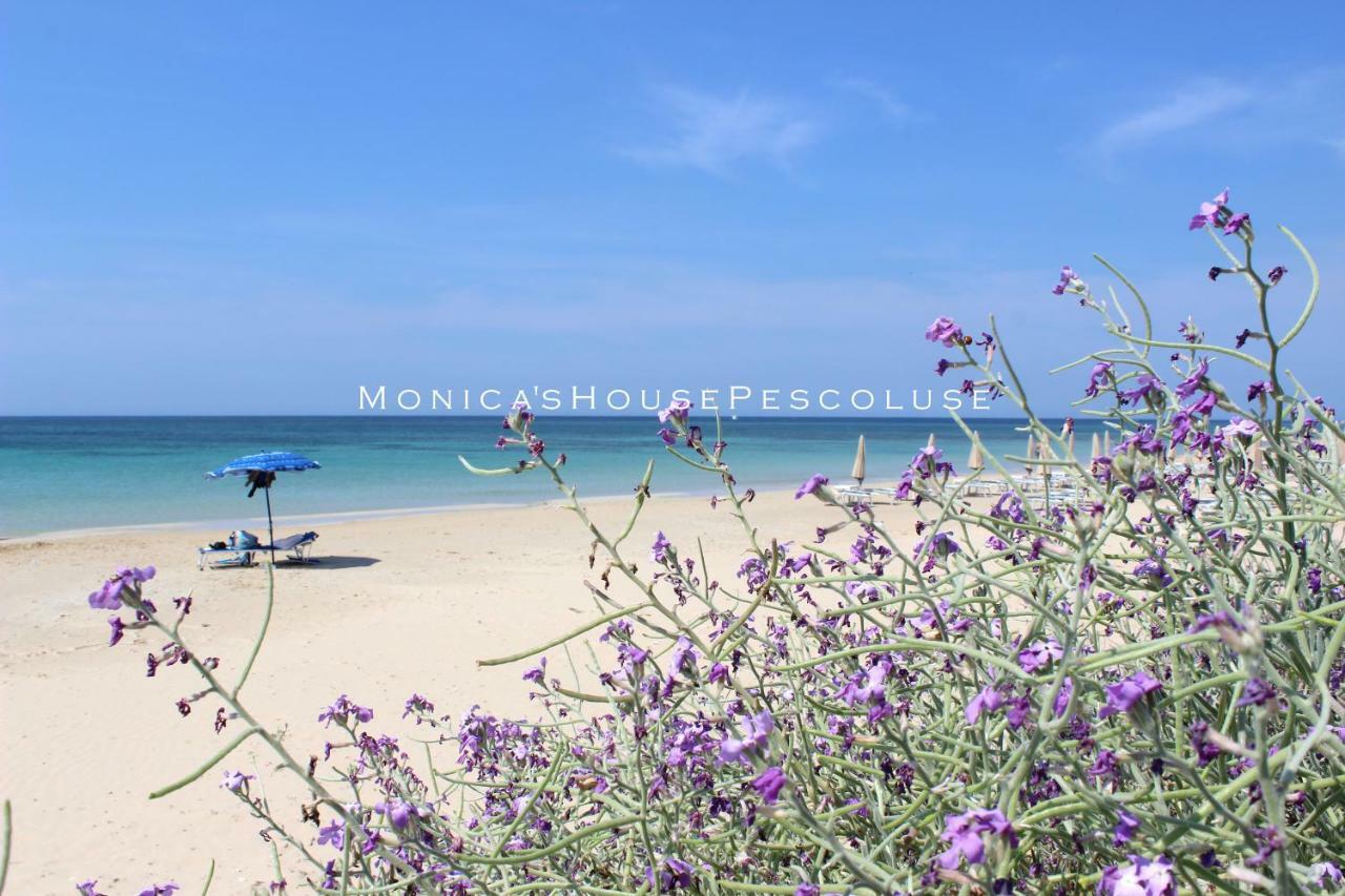 Home Holiday Salento Monica'S House Pescoluse Marina Di Pescoluse Exterior photo
