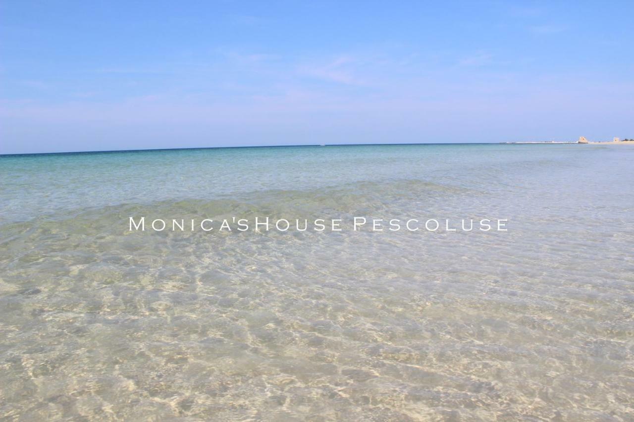 Home Holiday Salento Monica'S House Pescoluse Marina Di Pescoluse Exterior photo